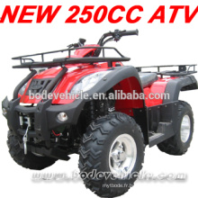 CHINE nouvelle EEC atv 250 avec transmission automatique de 250cc (mc-373)